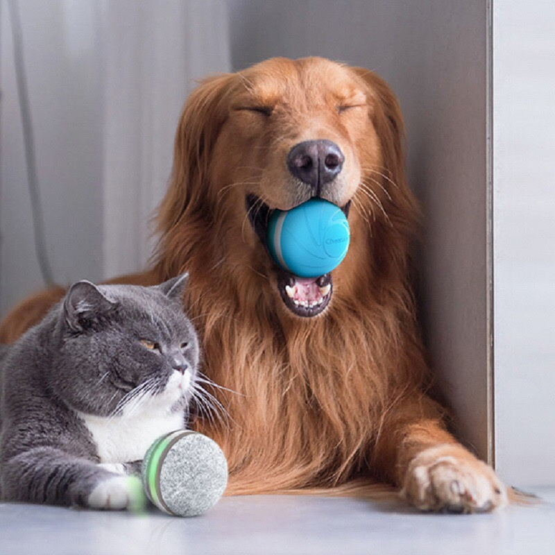 pelota alegre